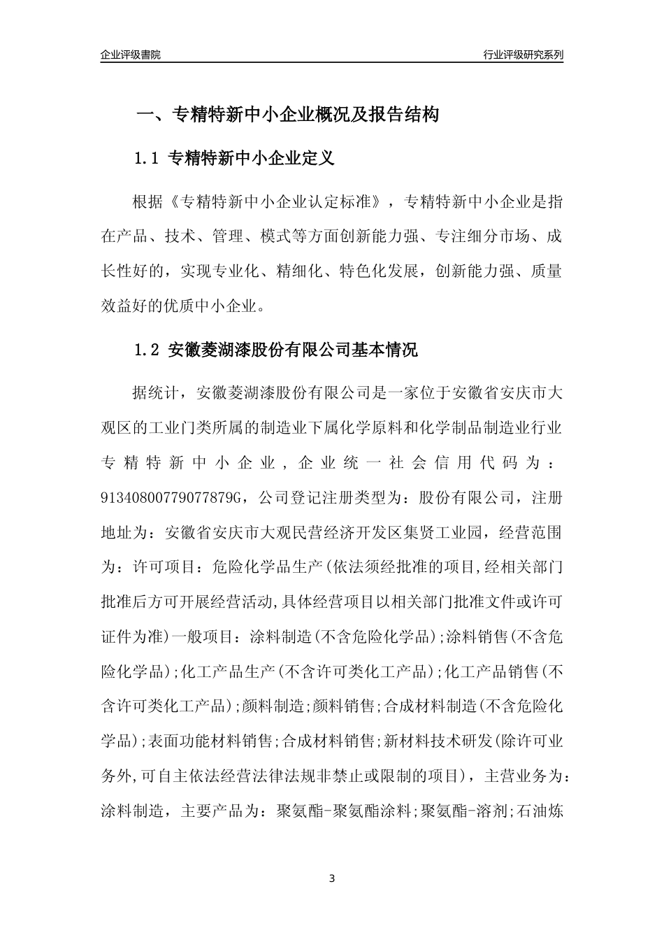 [专精特新]安徽菱湖漆股份有限公司行业竞争力评级分析报告(2023版)_第3页