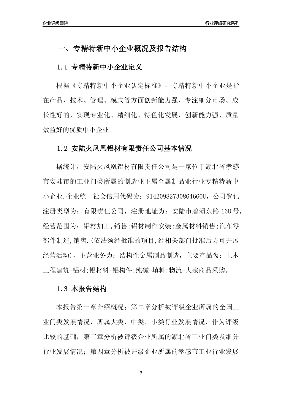 [专精特新]安陆火凤凰铝材有限责任公司行业竞争力评级分析报告(2023版)_第3页