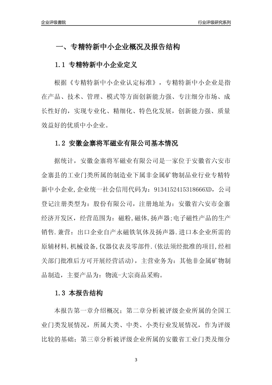 [专精特新]安徽金寨将军磁业有限公司行业竞争力评级分析报告(2023版)_第3页