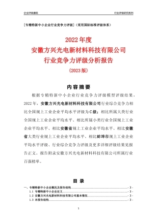 [专精特新]安徽方兴光电新材料科技有限公司行业竞争力评级分析报告(2023版)