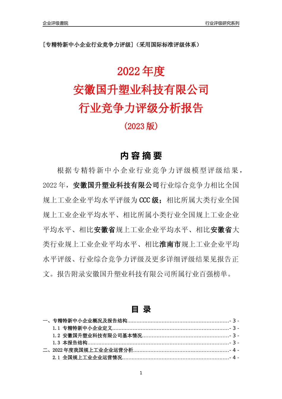 [专精特新]安徽国升塑业科技有限公司行业竞争力评级分析报告(2023版)_第1页