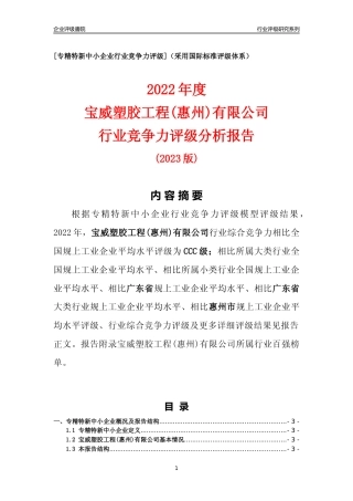 [专精特新]宝威塑胶工程(惠州)有限公司行业竞争力评级分析报告(2023版)