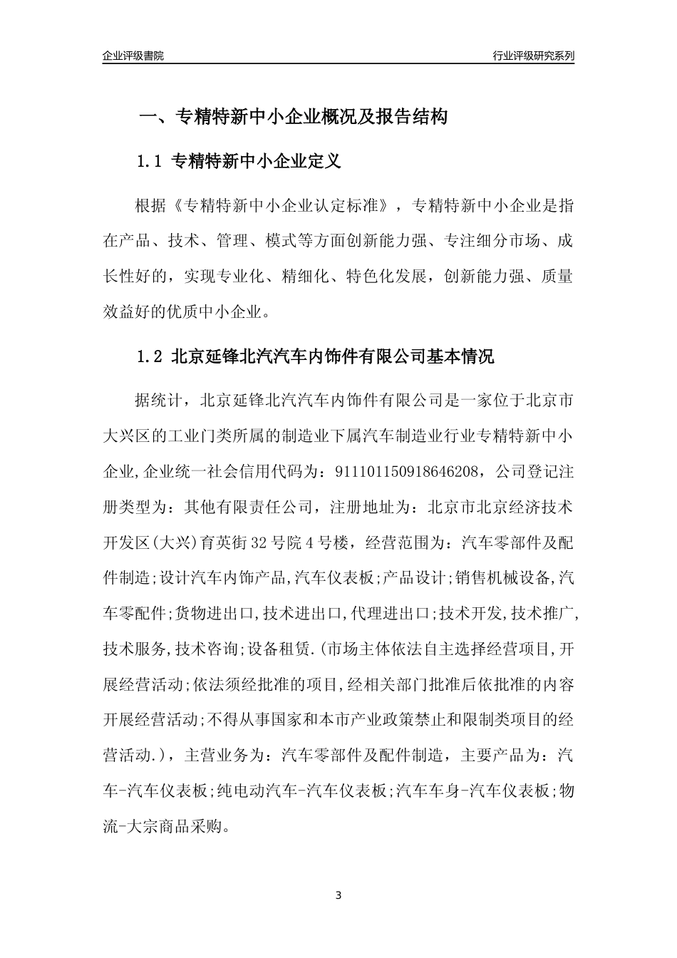 [专精特新]北京延锋北汽汽车内饰件有限公司行业竞争力评级分析报告(2023版)_第3页