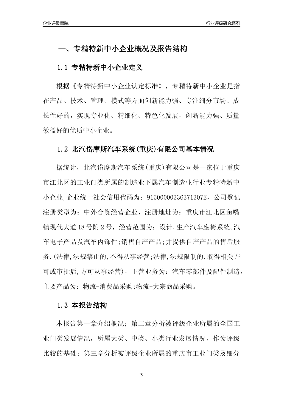 [专精特新]北汽岱摩斯汽车系统(重庆)有限公司行业竞争力评级分析报告(2023版)_第3页