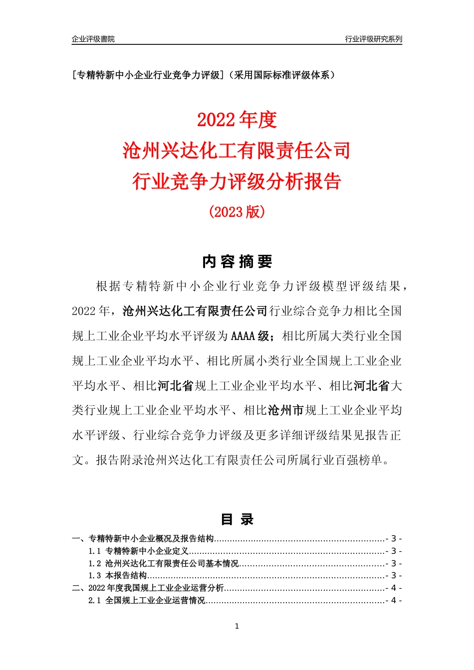 [专精特新]沧州兴达化工有限责任公司行业竞争力评级分析报告(2023版)_第1页