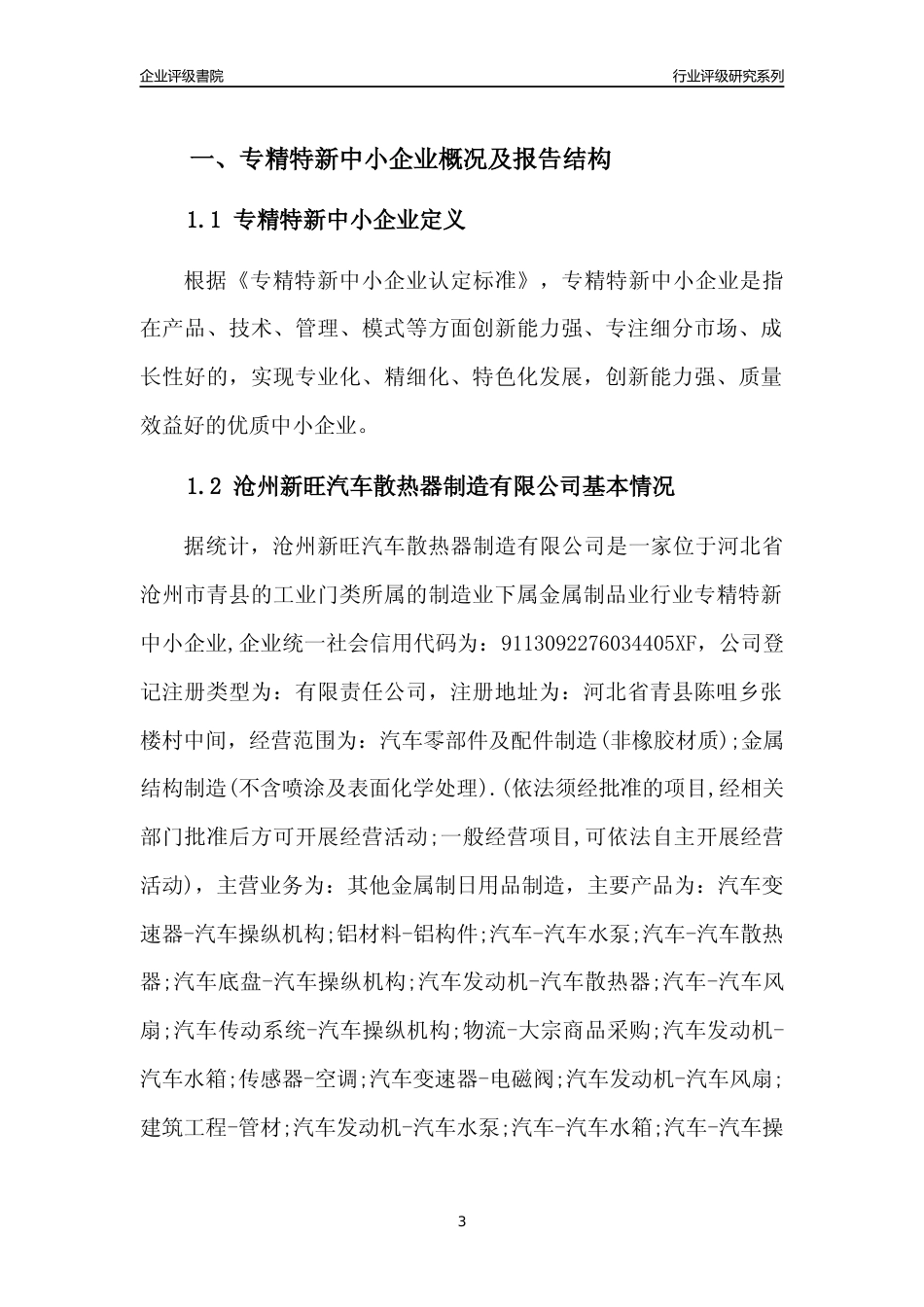 [专精特新]沧州新旺汽车散热器制造有限公司行业竞争力评级分析报告(2023版)_第3页