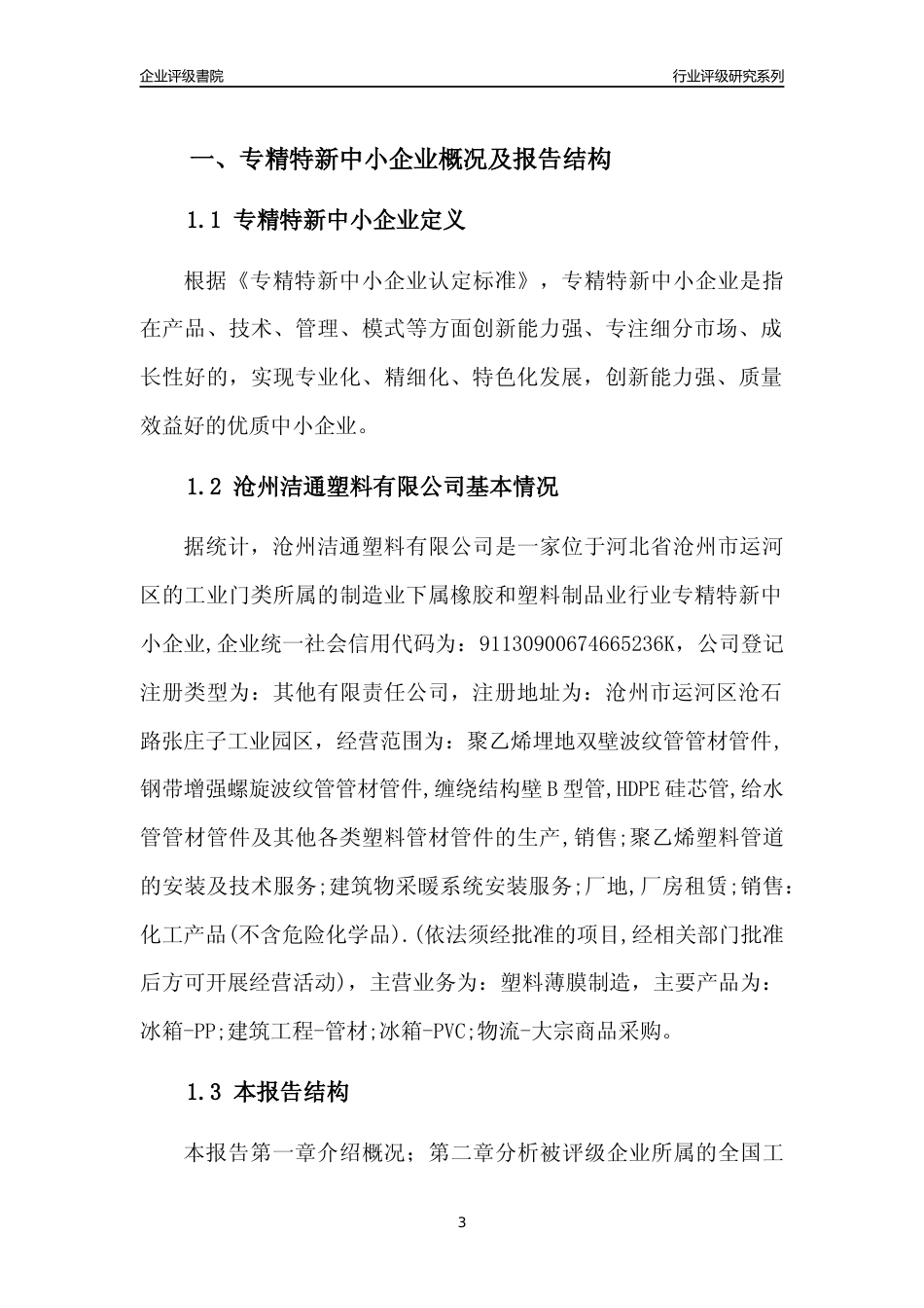 [专精特新]沧州洁通塑料有限公司行业竞争力评级分析报告(2023版)_第3页