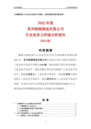 [专精特新]常州朗锐铸造有限公司行业竞争力评级分析报告(2023版)