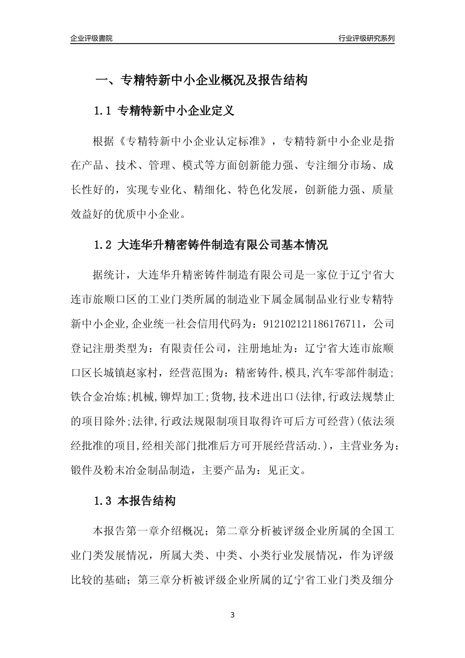 [专精特新]大连华升精密铸件制造有限公司行业竞争力评级分析报告(2023版)_第3页
