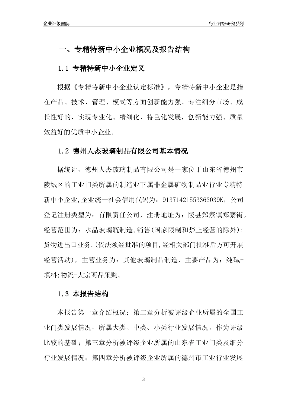 [专精特新]德州人杰玻璃制品有限公司行业竞争力评级分析报告(2023版)_第3页