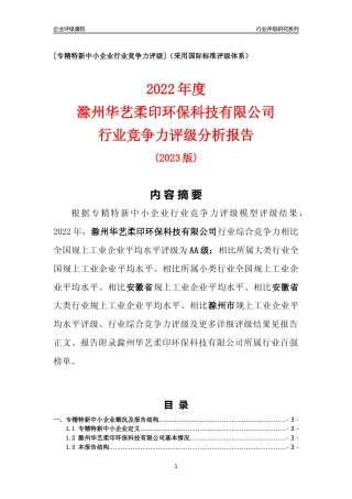 [专精特新]滁州华艺柔印环保科技有限公司行业竞争力评级分析报告(2023版)