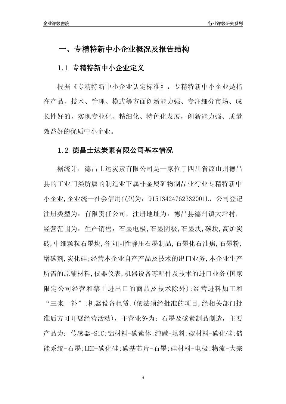 [专精特新]德昌士达炭素有限公司行业竞争力评级分析报告(2023版)_第3页