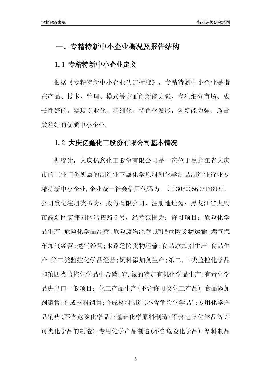 [专精特新]大庆亿鑫化工股份有限公司行业竞争力评级分析报告(2023版)_第3页