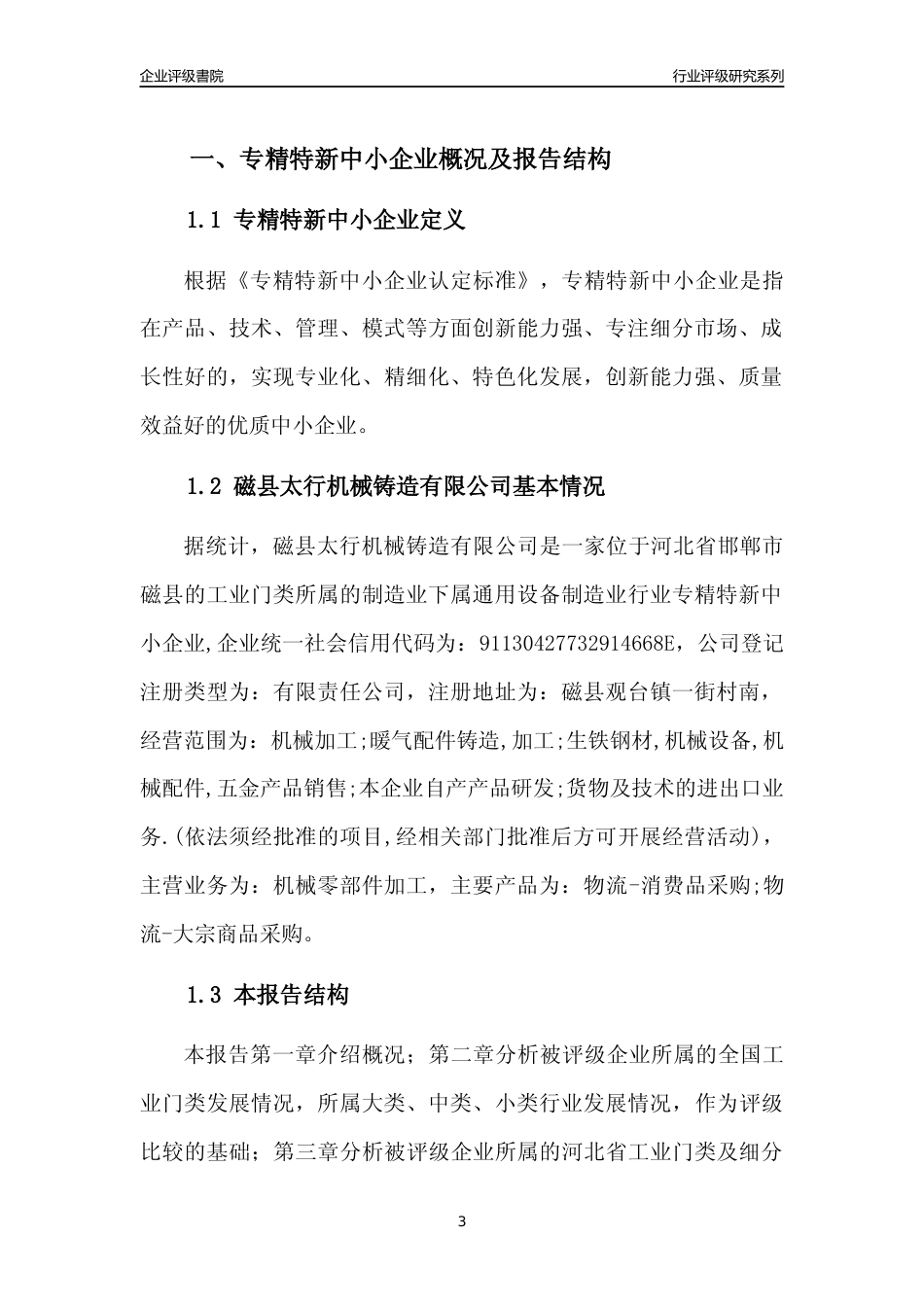 [专精特新]磁县太行机械铸造有限公司行业竞争力评级分析报告(2023版)_第3页