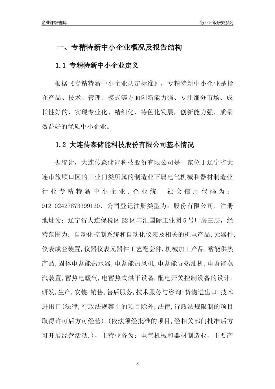 [专精特新]大连传森储能科技股份有限公司行业竞争力评级分析报告(2023版)_第3页