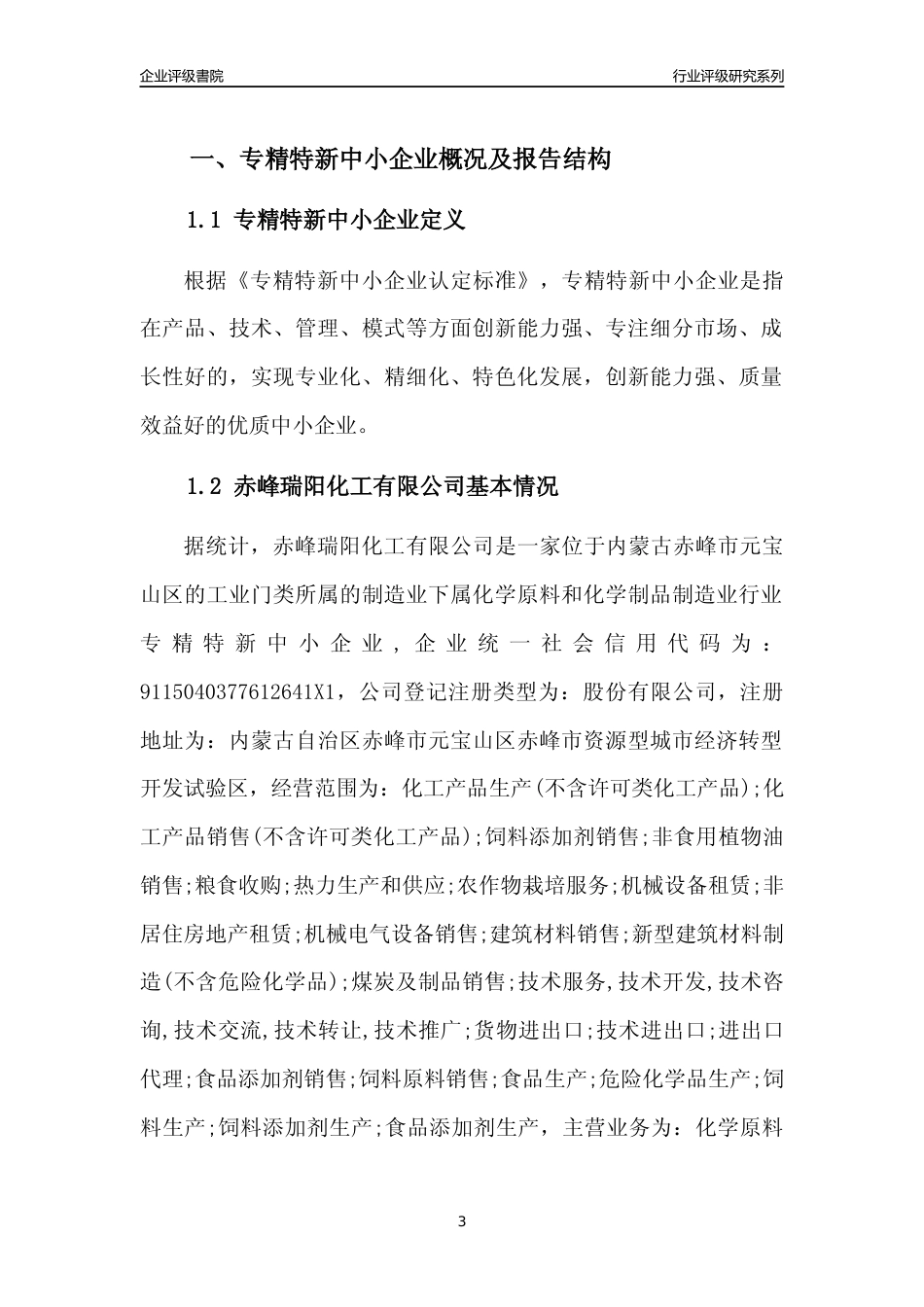 [专精特新]赤峰瑞阳化工有限公司行业竞争力评级分析报告(2023版)_第3页