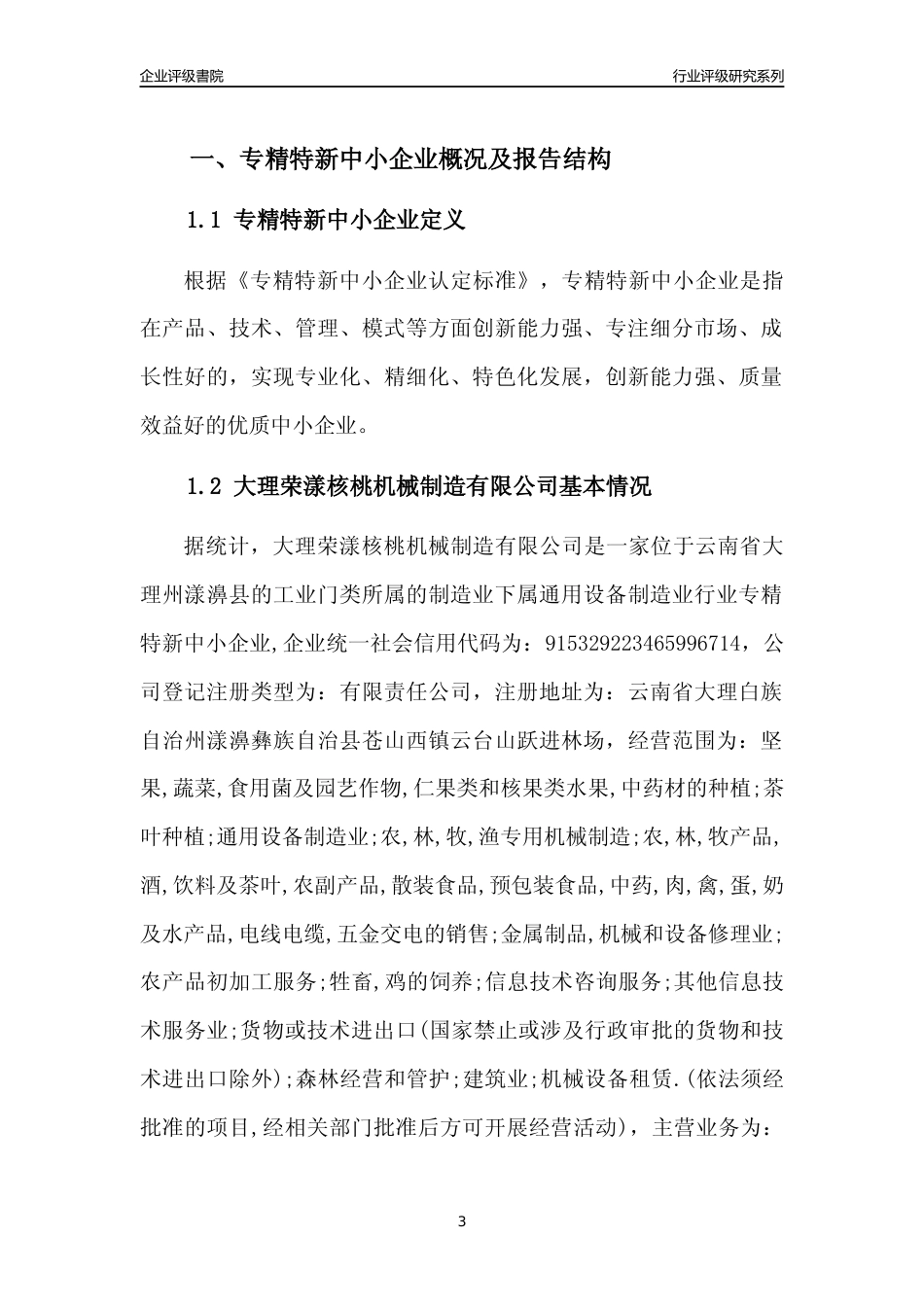 [专精特新]大理荣漾核桃机械制造有限公司行业竞争力评级分析报告(2023版)_第3页