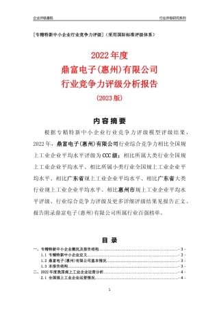 [专精特新]鼎富电子(惠州)有限公司行业竞争力评级分析报告(2023版)