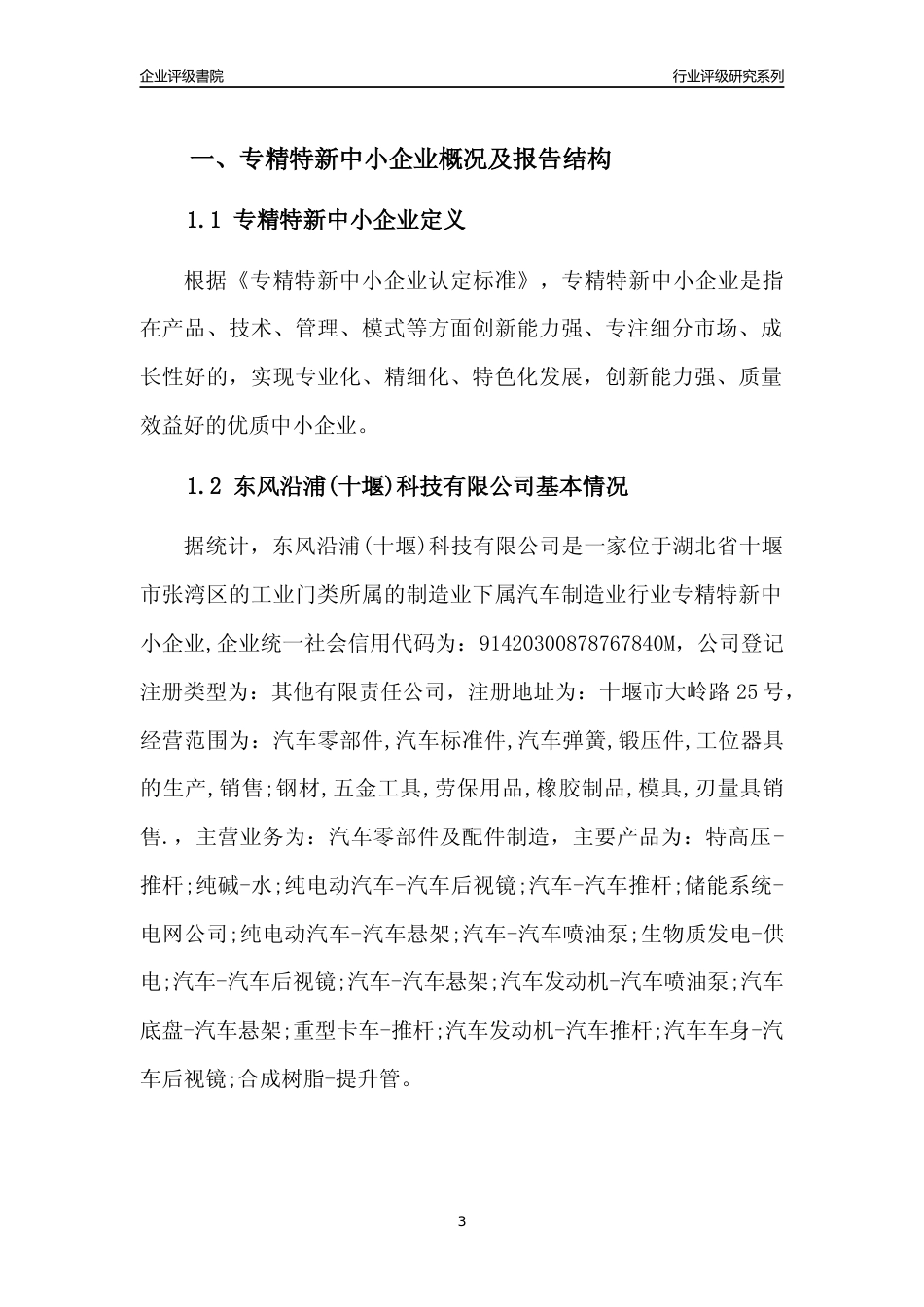 [专精特新]东风沿浦(十堰)科技有限公司行业竞争力评级分析报告(2023版)_第3页