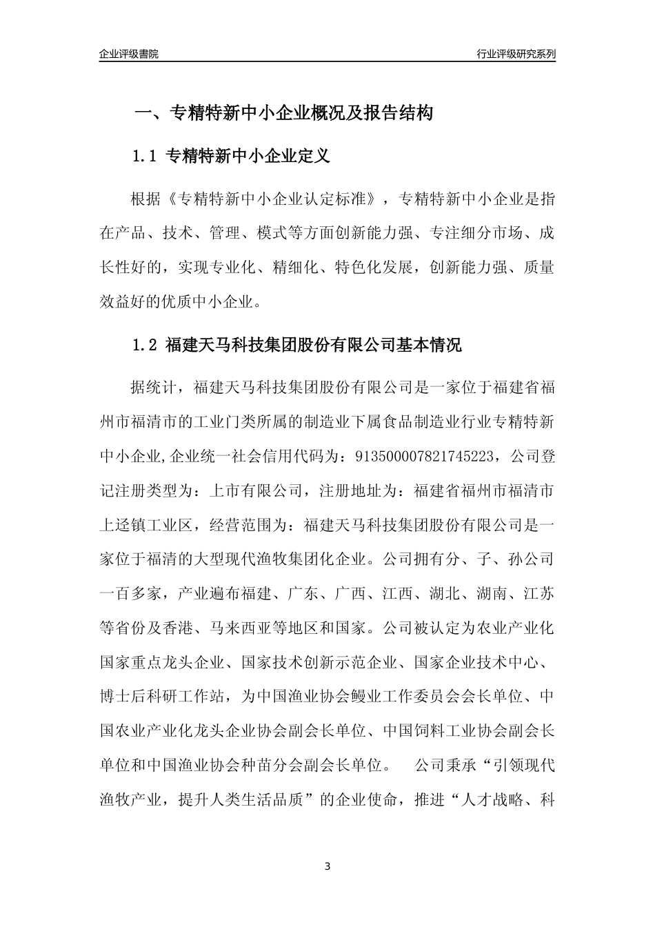 [专精特新]福建天马科技集团股份有限公司行业竞争力评级分析报告(2023版)_第3页