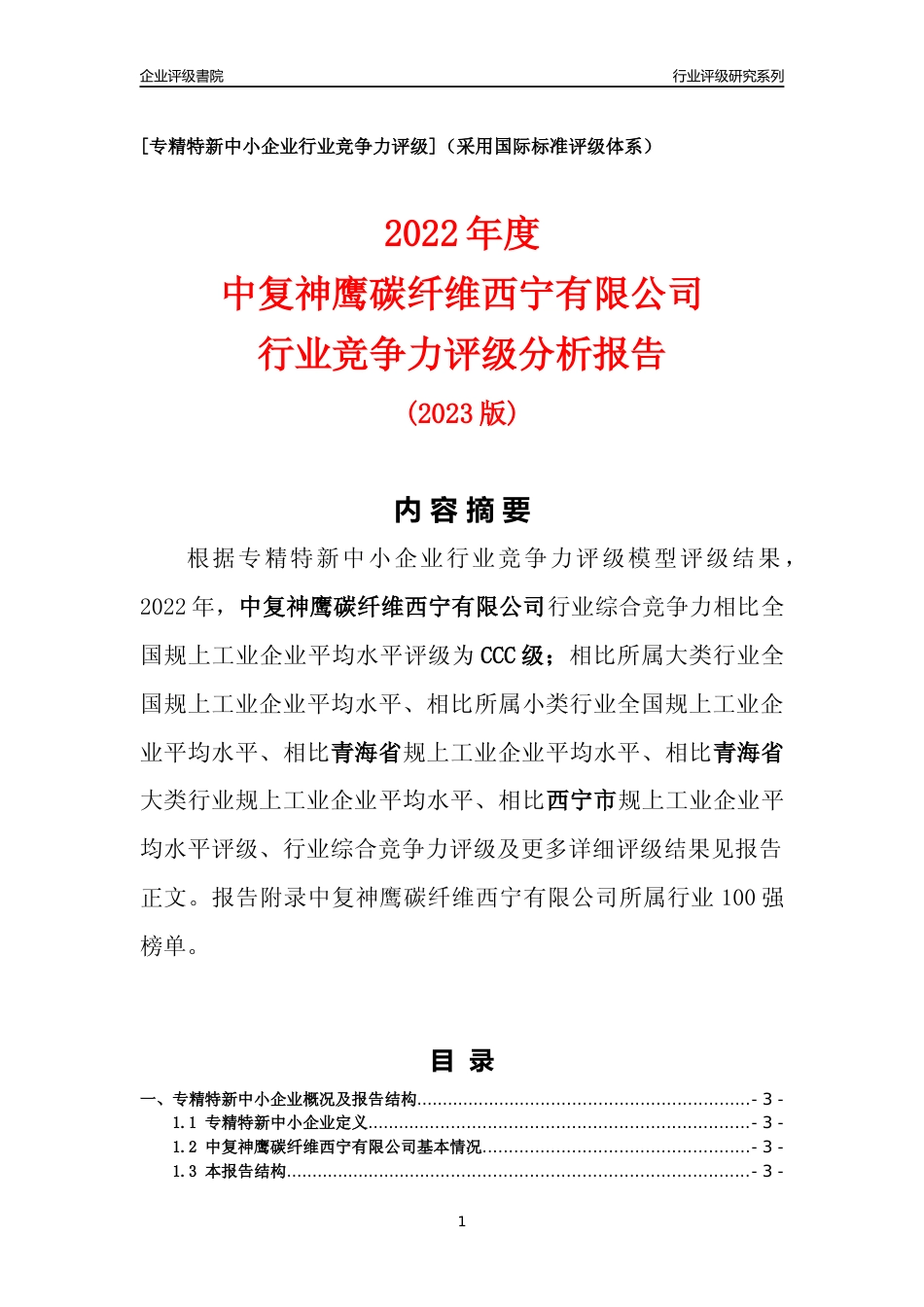 [专精特新]中复神鹰碳纤维西宁有限公司行业竞争力评级分析报告(2023版)_第1页