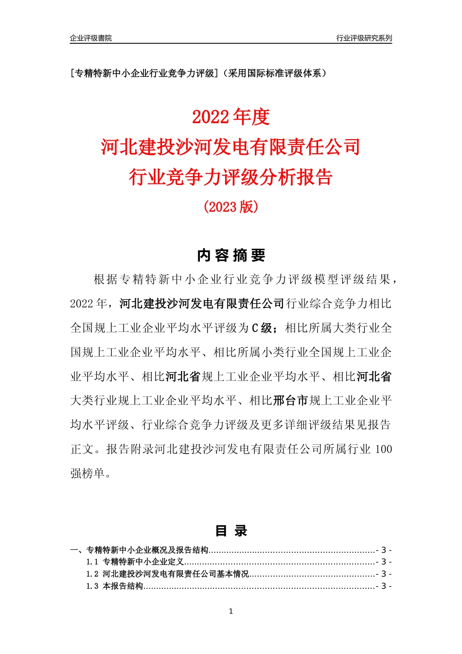 [专精特新]河北建投沙河发电有限责任公司行业竞争力评级分析报告(2023版)_第1页