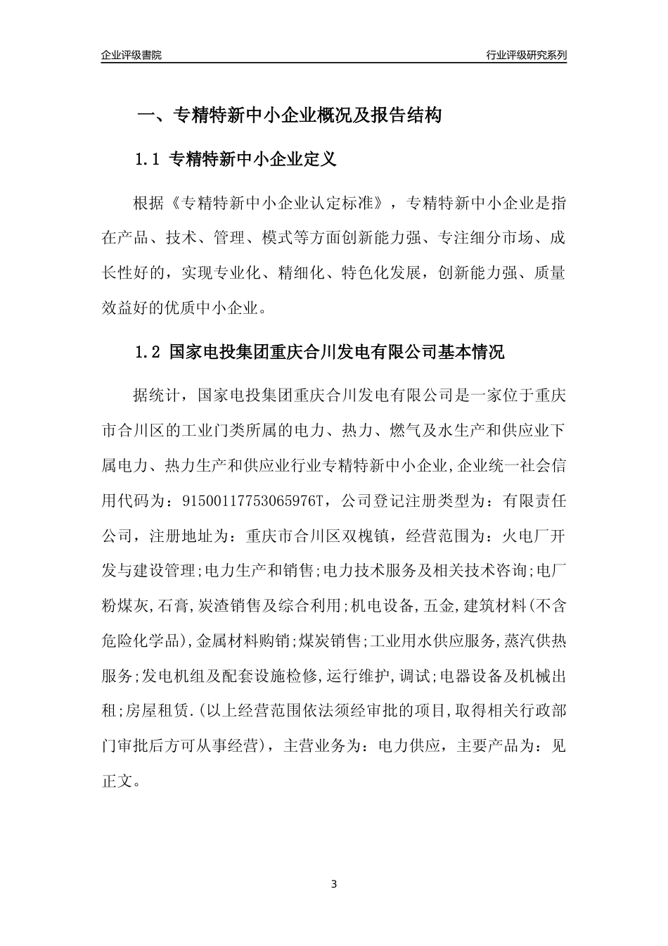 [专精特新]国家电投集团重庆合川发电有限公司行业竞争力评级分析报告(2023版)_第3页