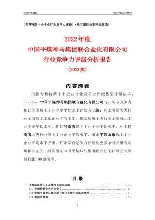 [专精特新]中国平煤神马集团联合盐化有限公司行业竞争力评级分析报告(2023版)
