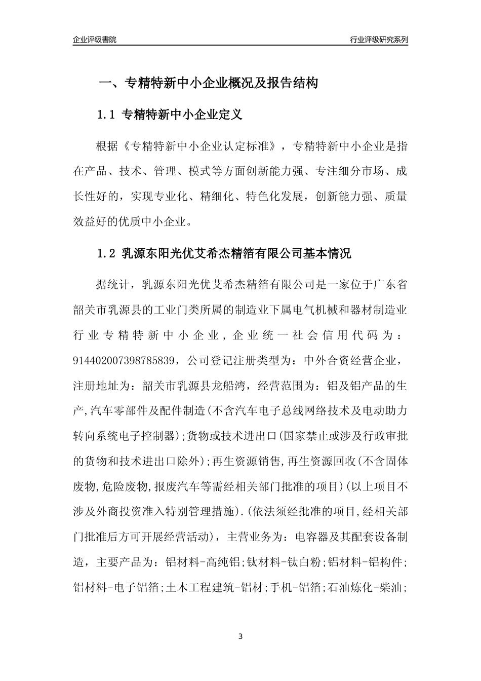 [专精特新]乳源东阳光优艾希杰精箔有限公司行业竞争力评级分析报告(2023版)_第3页