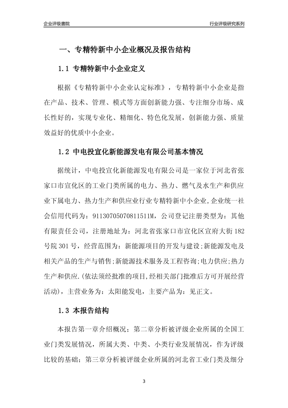 [专精特新]中电投宣化新能源发电有限公司行业竞争力评级分析报告(2023版)_第3页