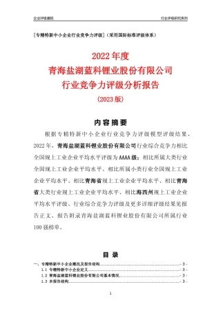 [专精特新]青海盐湖蓝科锂业股份有限公司行业竞争力评级分析报告(2023版)