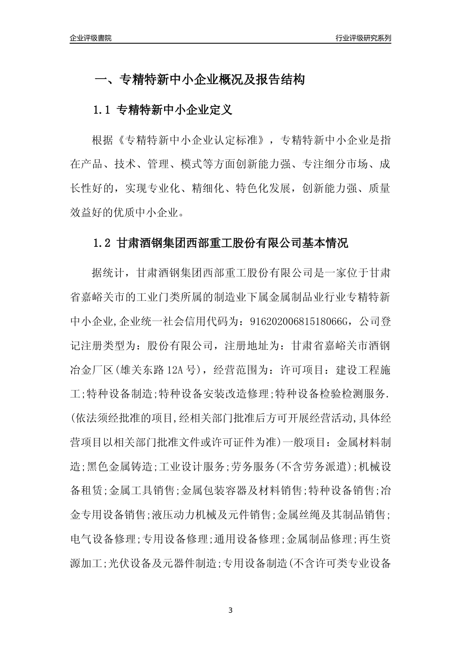 [专精特新]甘肃酒钢集团西部重工股份有限公司行业竞争力评级分析报告(2023版)_第3页
