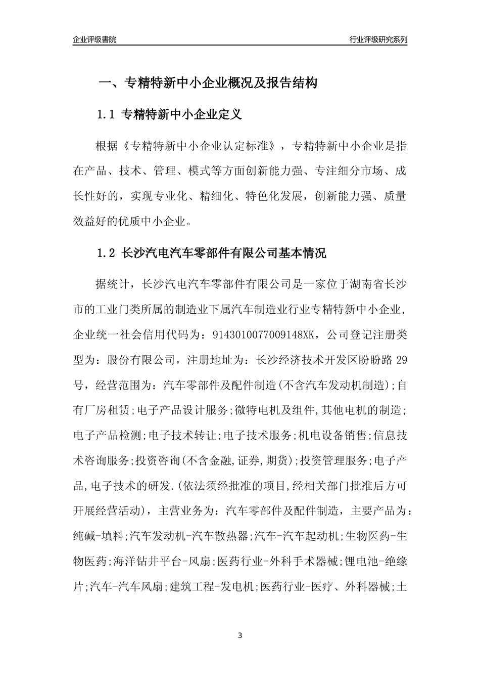 [专精特新]长沙汽电汽车零部件有限公司行业竞争力评级分析报告(2023版)_第3页