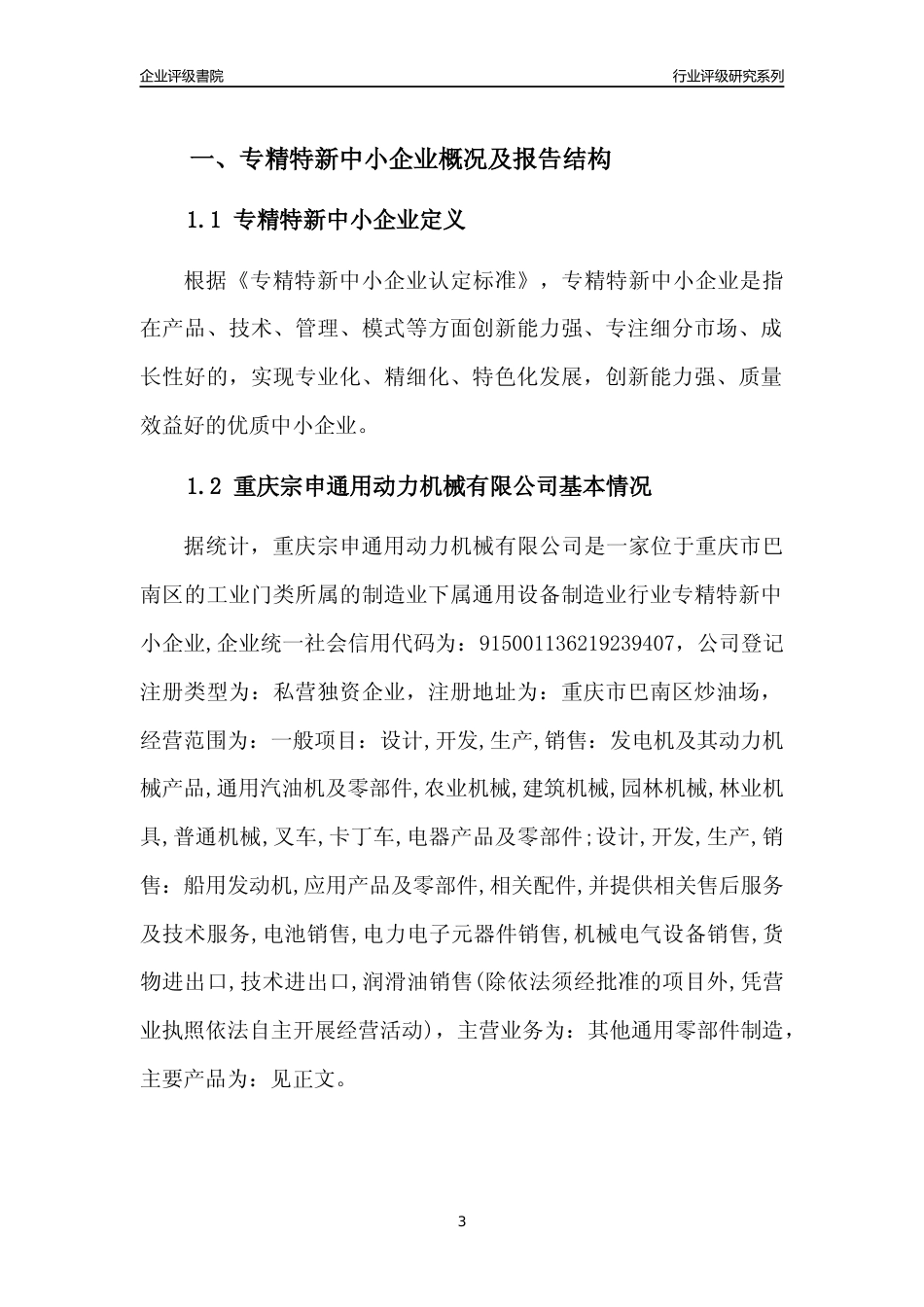 [专精特新]重庆宗申通用动力机械有限公司行业竞争力评级分析报告(2023版)_第3页