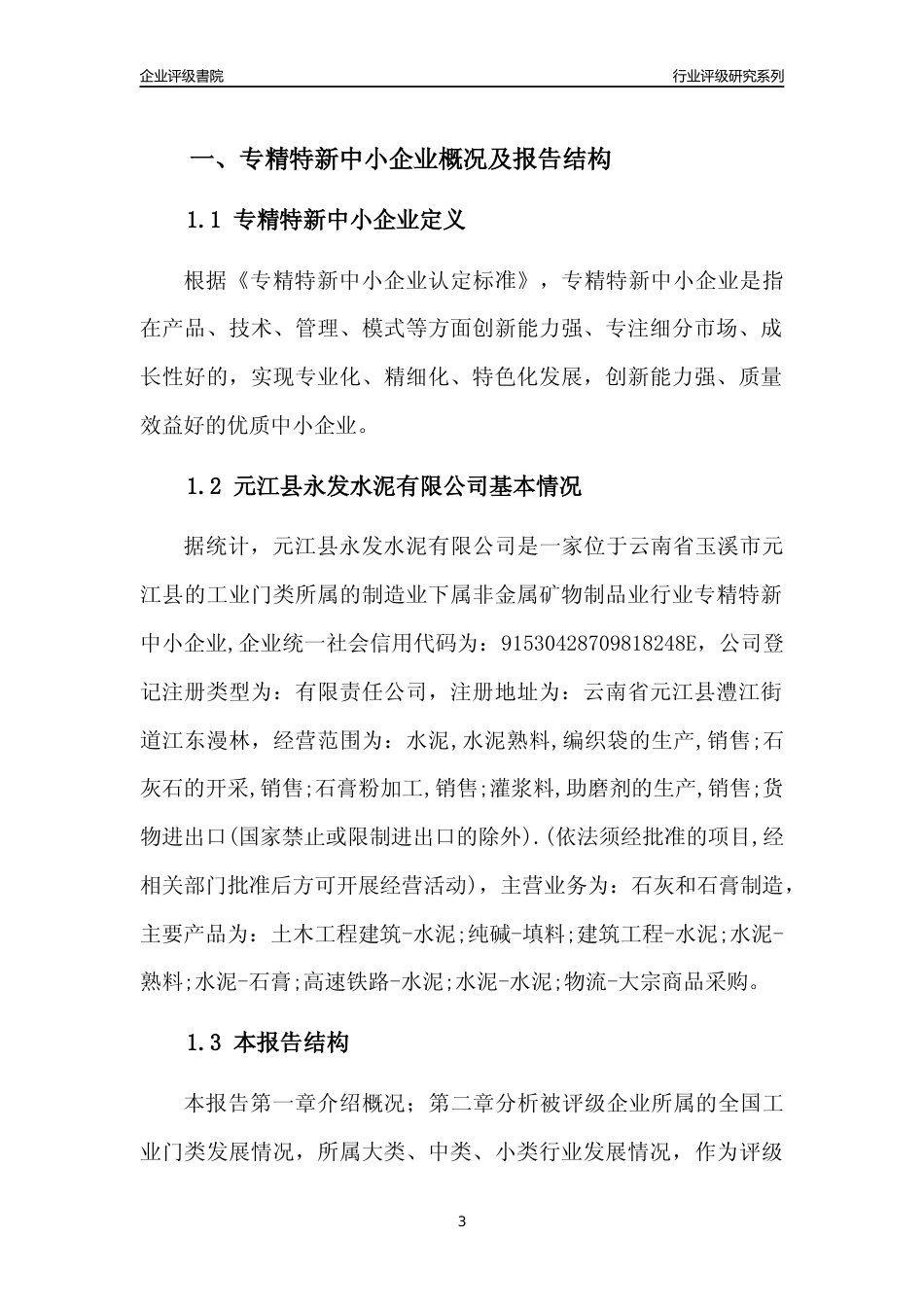 [专精特新]元江县永发水泥有限公司行业竞争力评级分析报告(2023版)_第3页
