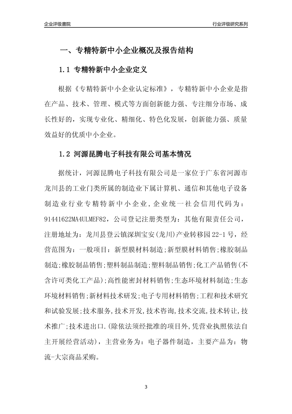 [专精特新]河源昆腾电子科技有限公司行业竞争力评级分析报告(2023版)_第3页