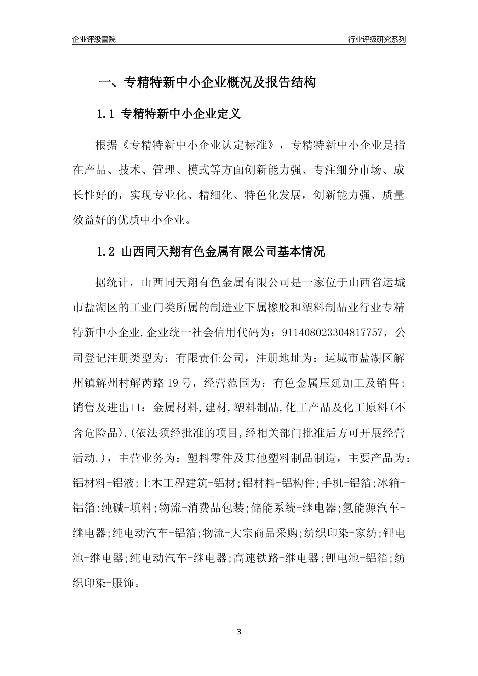 [专精特新]山西同天翔有色金属有限公司行业竞争力评级分析报告(2023版)_第3页