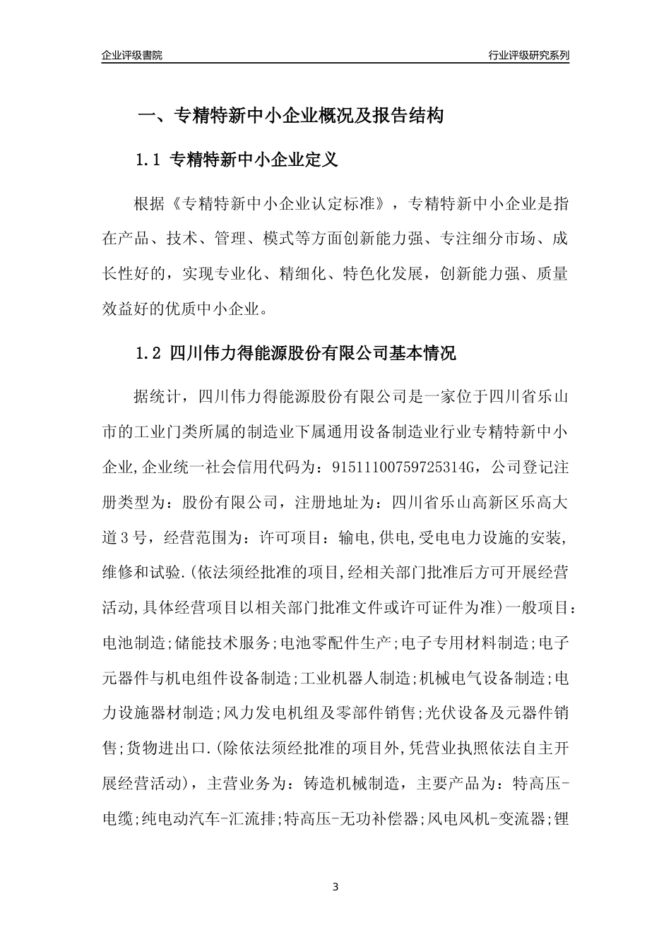 [专精特新]四川伟力得能源股份有限公司行业竞争力评级分析报告(2023版)_第3页