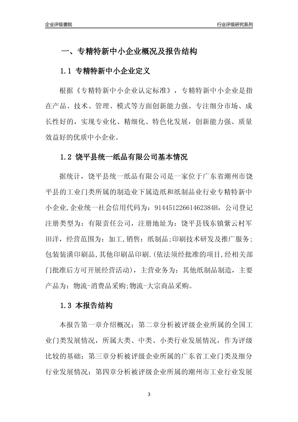 [专精特新]饶平县统一纸品有限公司行业竞争力评级分析报告(2023版)_第3页