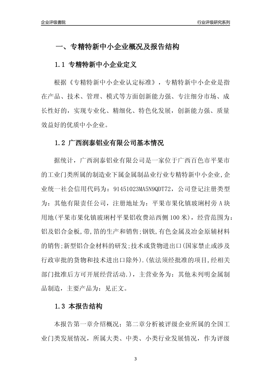 [专精特新]广西润泰铝业有限公司行业竞争力评级分析报告(2023版)_第3页