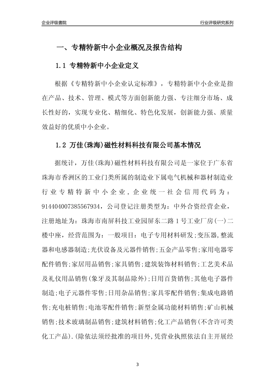 [专精特新]万佳(珠海)磁性材料科技有限公司行业竞争力评级分析报告(2023版)_第3页