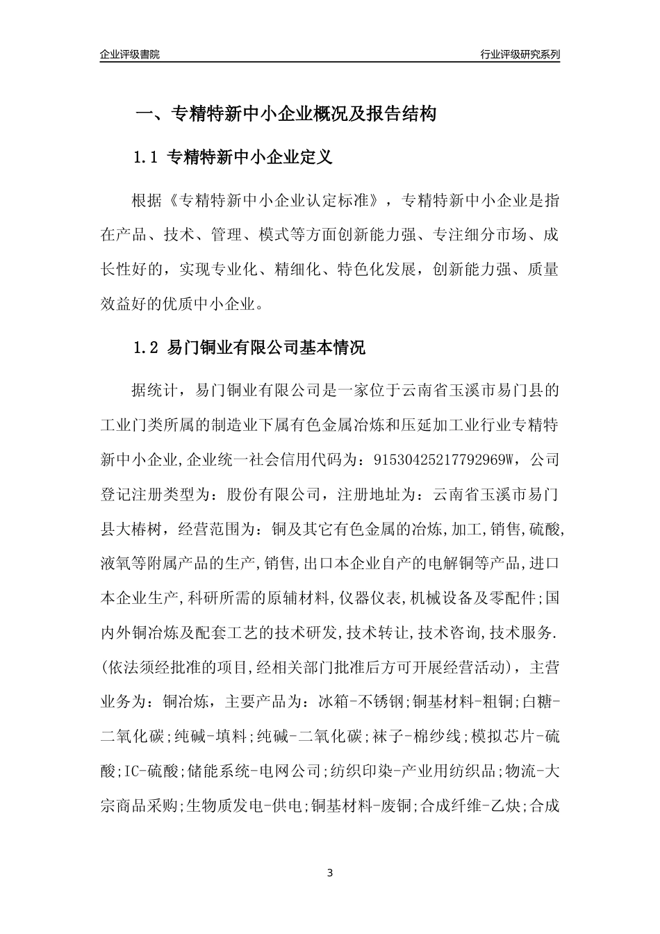[专精特新]易门铜业有限公司行业竞争力评级分析报告(2023版)_第3页