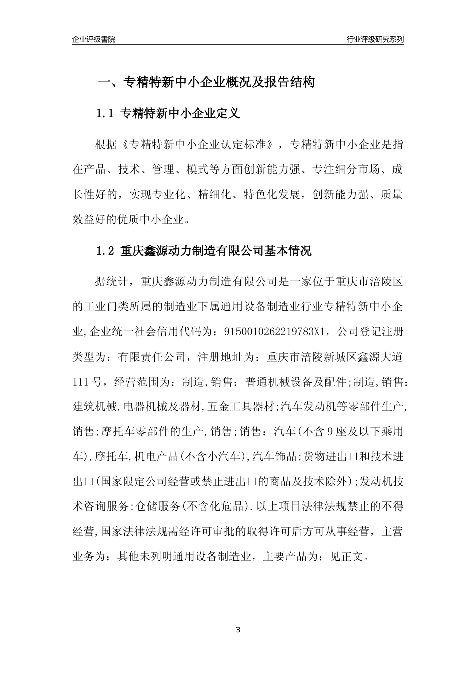 [专精特新]重庆鑫源动力制造有限公司行业竞争力评级分析报告(2023版)_第3页