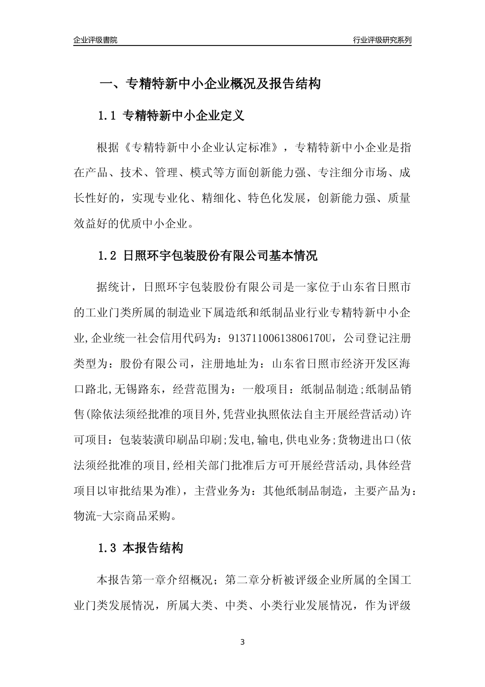 [专精特新]日照环宇包装股份有限公司行业竞争力评级分析报告(2023版)_第3页