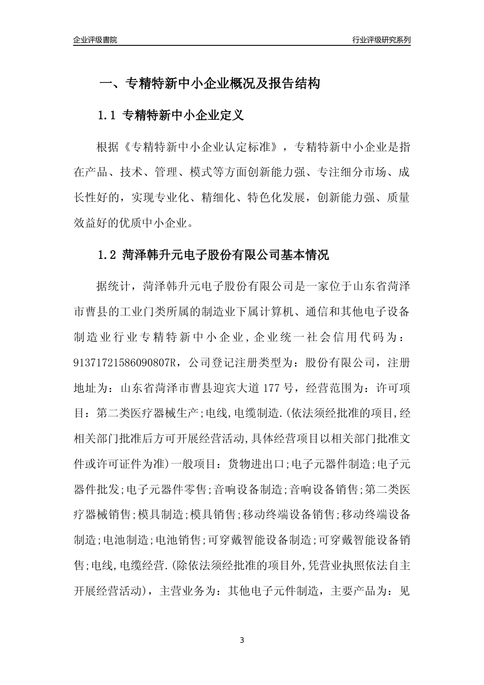 [专精特新]菏泽韩升元电子股份有限公司行业竞争力评级分析报告(2023版)_第3页