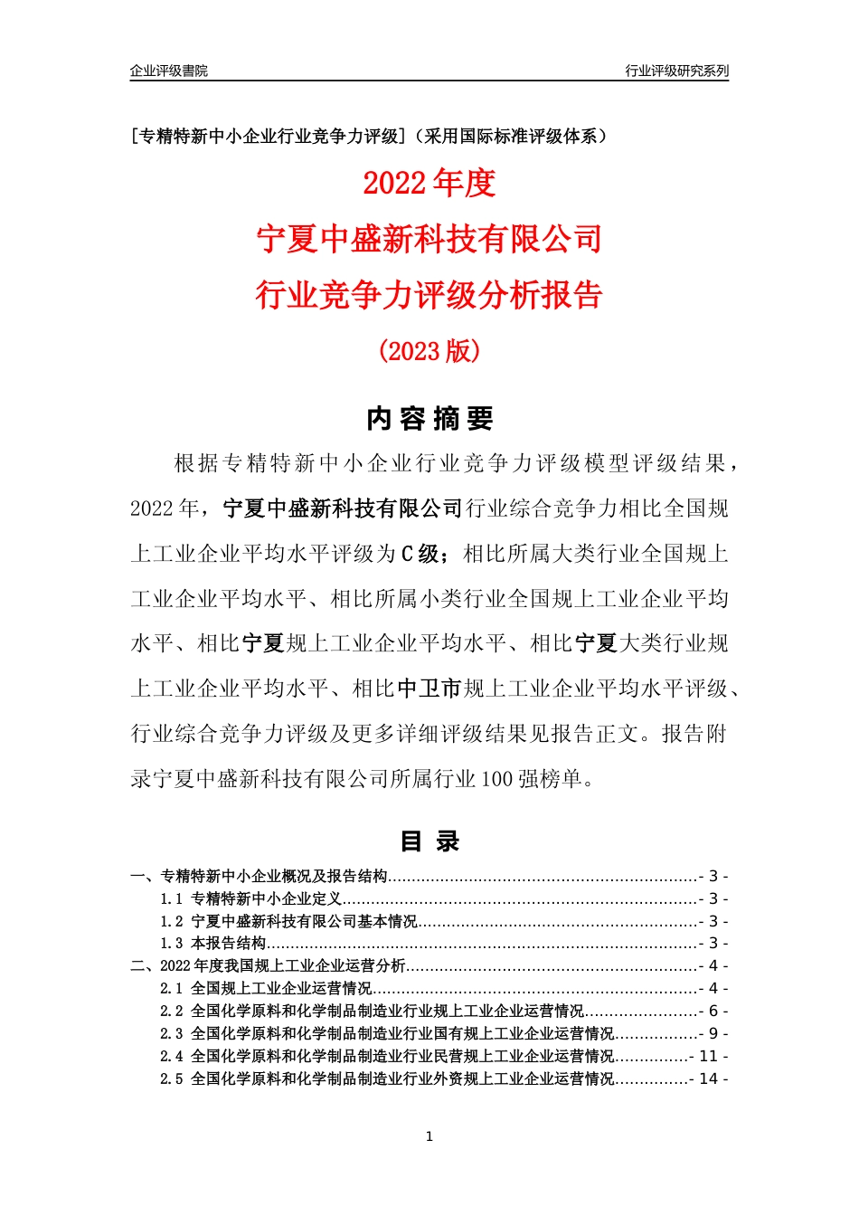 [专精特新]宁夏中盛新科技有限公司行业竞争力评级分析报告(2023版)_第1页