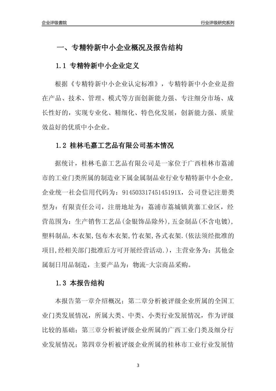 [专精特新]桂林毛嘉工艺品有限公司行业竞争力评级分析报告(2023版)_第3页