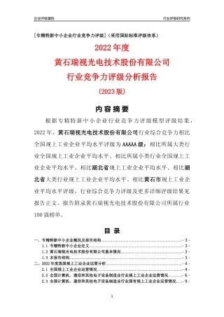 [专精特新]黄石瑞视光电技术股份有限公司行业竞争力评级分析报告(2023版)