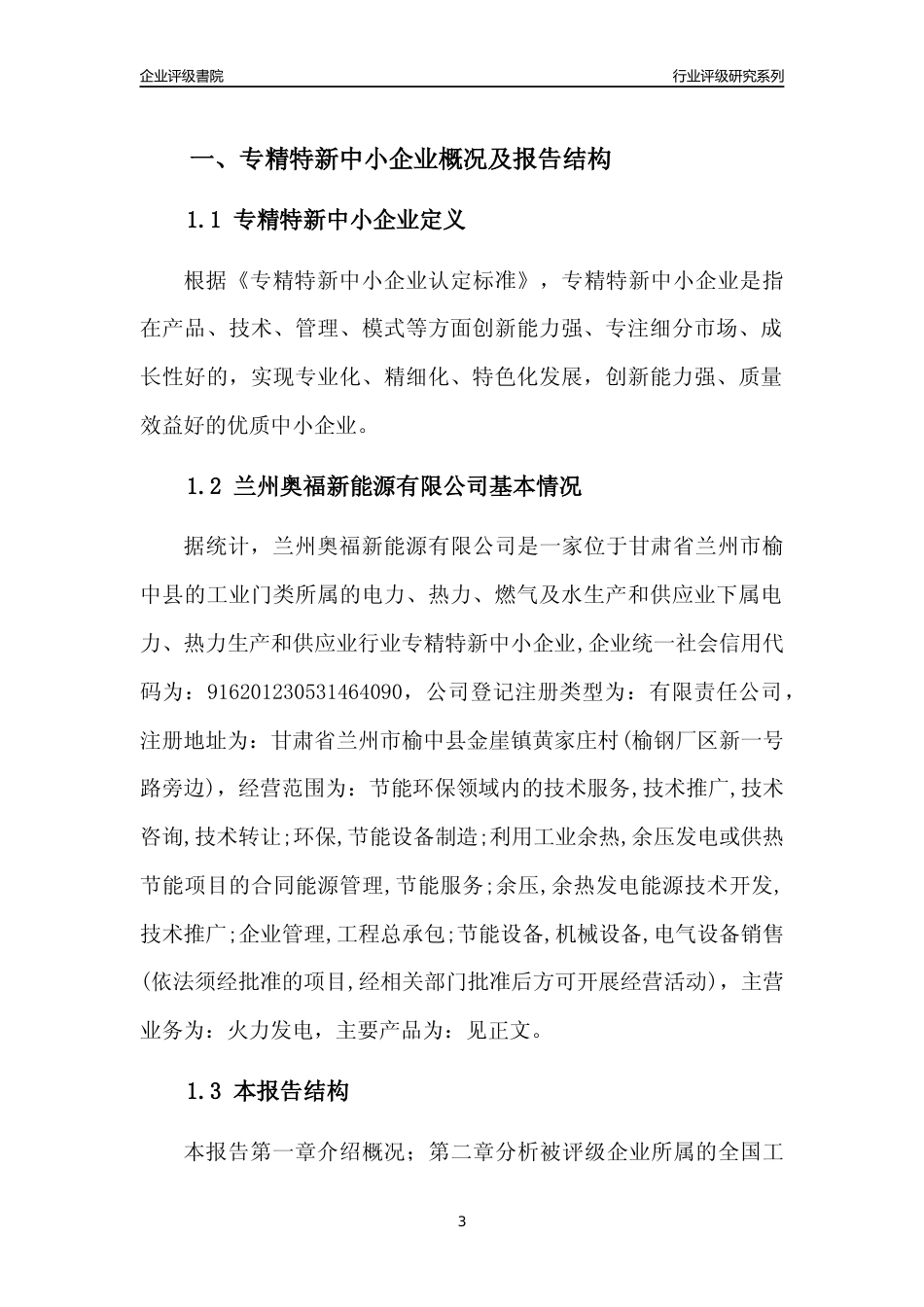 [专精特新]兰州奥福新能源有限公司行业竞争力评级分析报告(2023版)_第3页