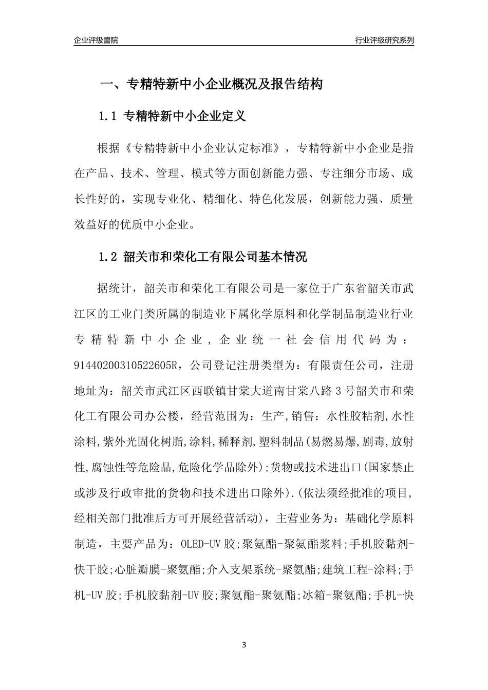 [专精特新]韶关市和荣化工有限公司行业竞争力评级分析报告(2023版)_第3页